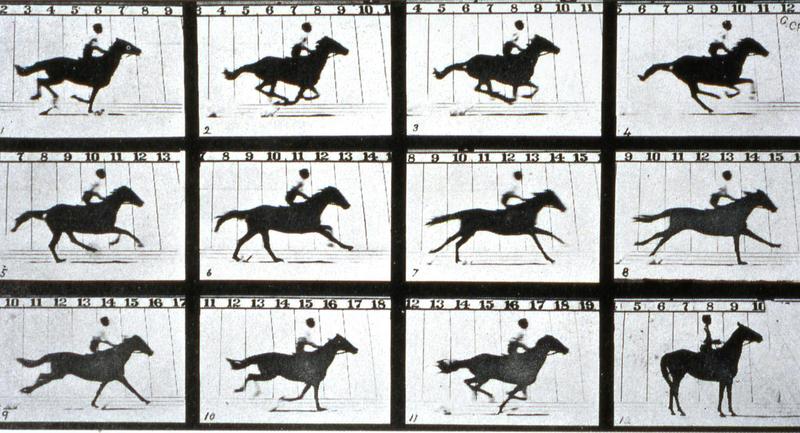 A profiling comparison between CPU and GPU performance when normalizing images in PyTorch. There are several factors to consider when optimizing preprocessing pipelines, such as data types, data transfer, and parallel processing capabilities. This posts explores these factors and provides insights on how to optimize your data pipeline.